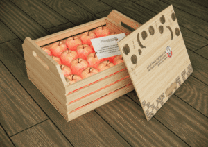 ADFSA Crate 3D Design by Fakir Masood