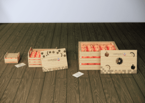 ADFSA Crate 3D Design by Fakir Masood